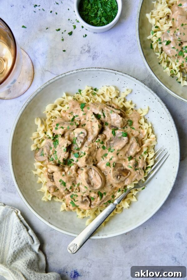 One serving of Beef Stroganoff in shallow bowl.