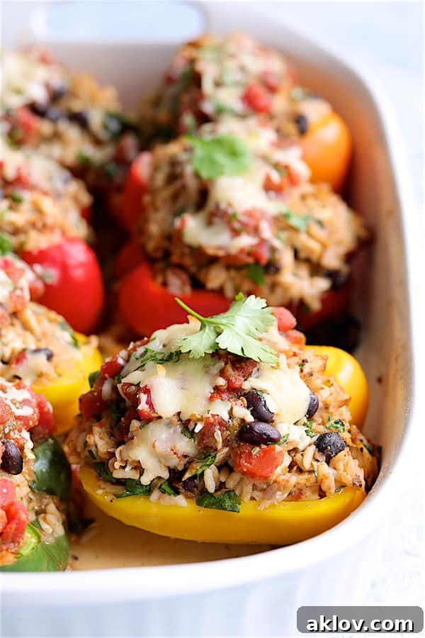 Zesty Chicken and Rice Pepper Boats 11 Close-up photo of Chicken, Rice and Black Bean Stuffed Peppers garnished with cilantro.