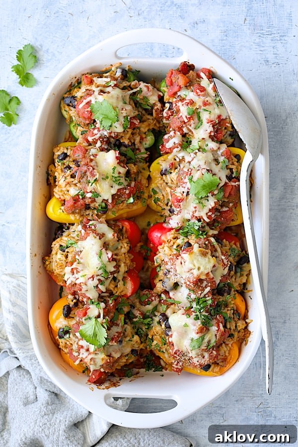 Zesty Chicken and Rice Pepper Boats 9 Photo of eight Chicken, Rice and Black Bean Stuffed Peppers in white baking dish after being baked with white serving spoon.