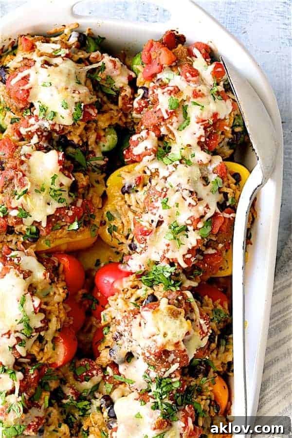 Zesty Chicken and Rice Pepper Boats 10 Close-up photo of Chicken, Rice and Black Bean Stuffed Peppers in white baking dish with white serving spoon.