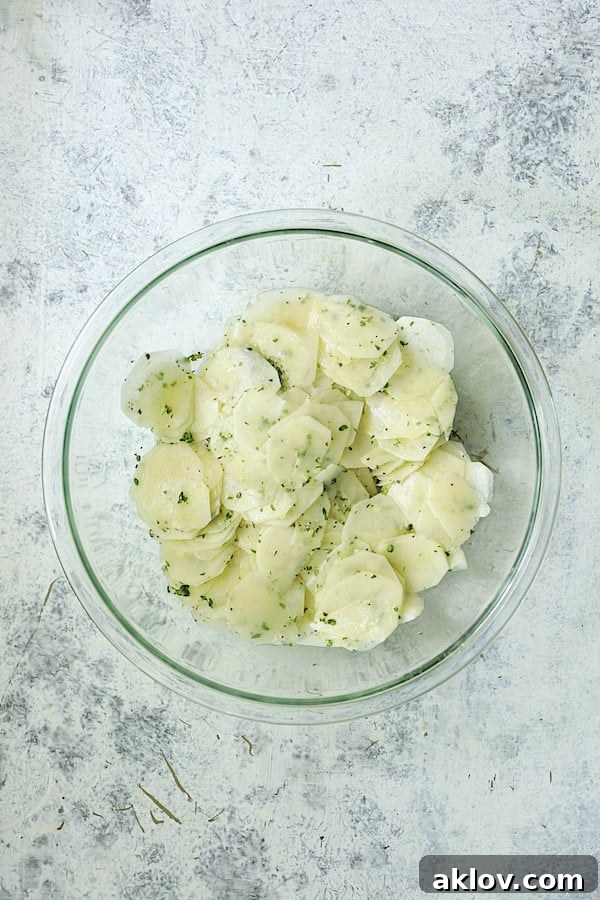 Golden Garlic Herb Potato Galettes in a Muffin Tin 6 Thinly sliced potato rounds in a glass bowl, glistening with melted butter, olive oil, minced garlic, and fresh herbs, ready to be stacked.