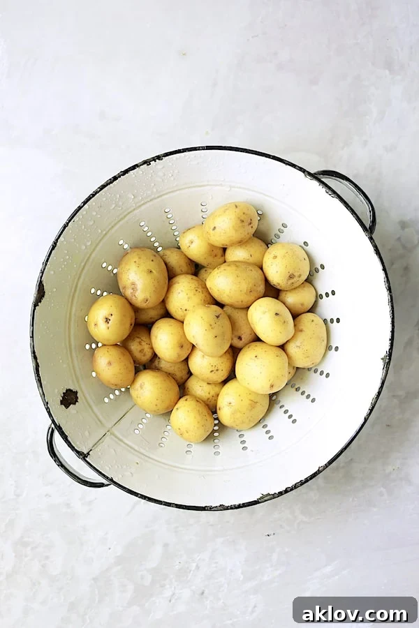 Small, unpeeled Yukon Gold potatoes resting in a vintage white colander, ready for preparation.
