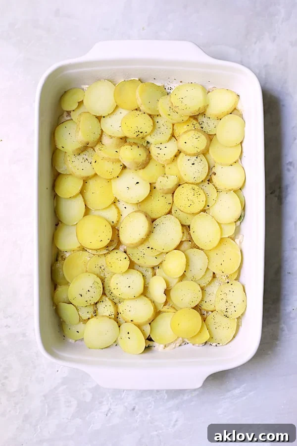 First layer of thinly sliced potatoes carefully arranged over the cabbage mixture in a white rectangular baking dish.