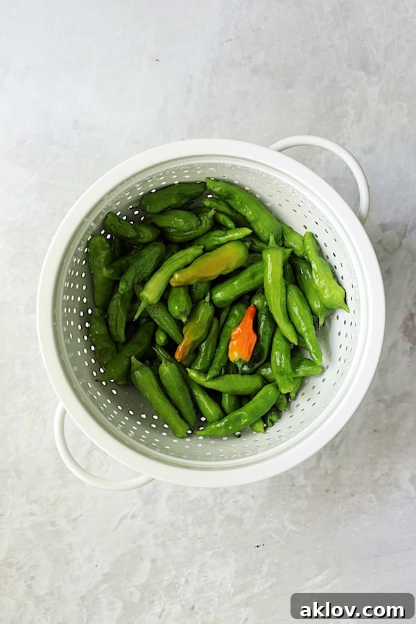 Fresh shishito peppers resting in a white colander, ready for preparation.