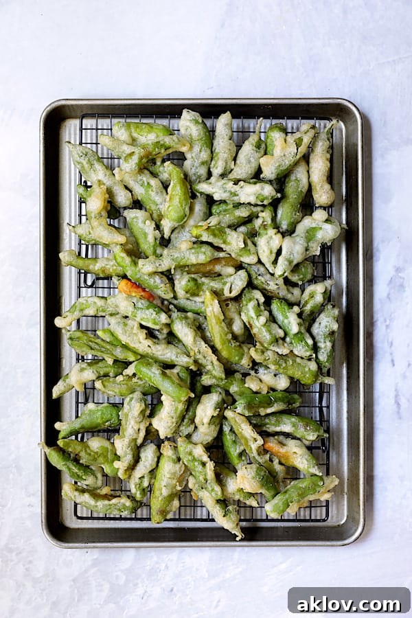 Freshly fried shishito peppers draining on a cooling rack set over a rimmed baking sheet.