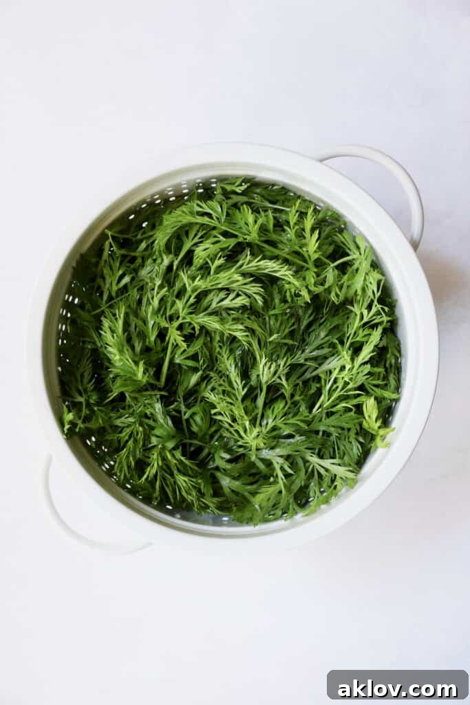 Photo of clean, dry carrot tops in a white colander.