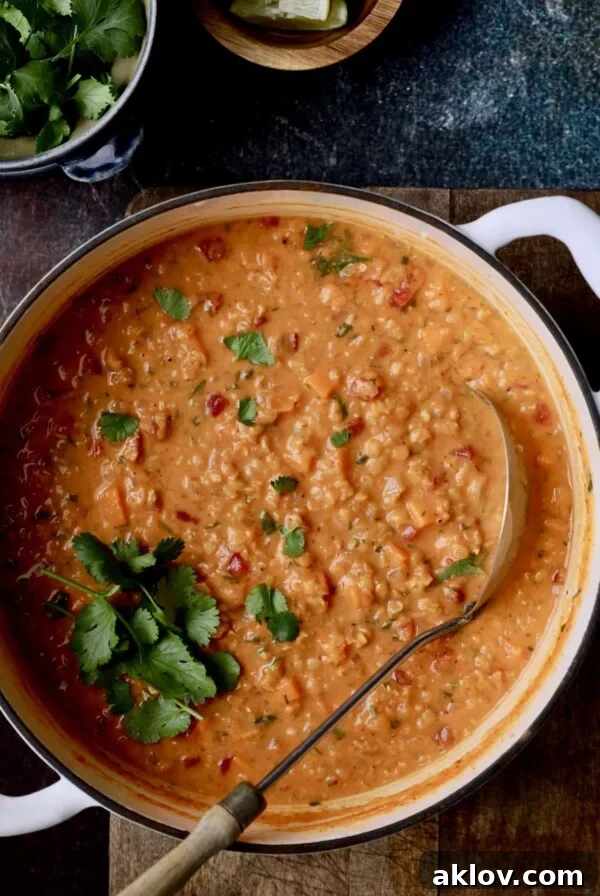 A large white Dutch oven brimming with hot Thai Red Curry Sweet Potato and Lentil Soup, with a soup ladle resting inside, ready for serving.