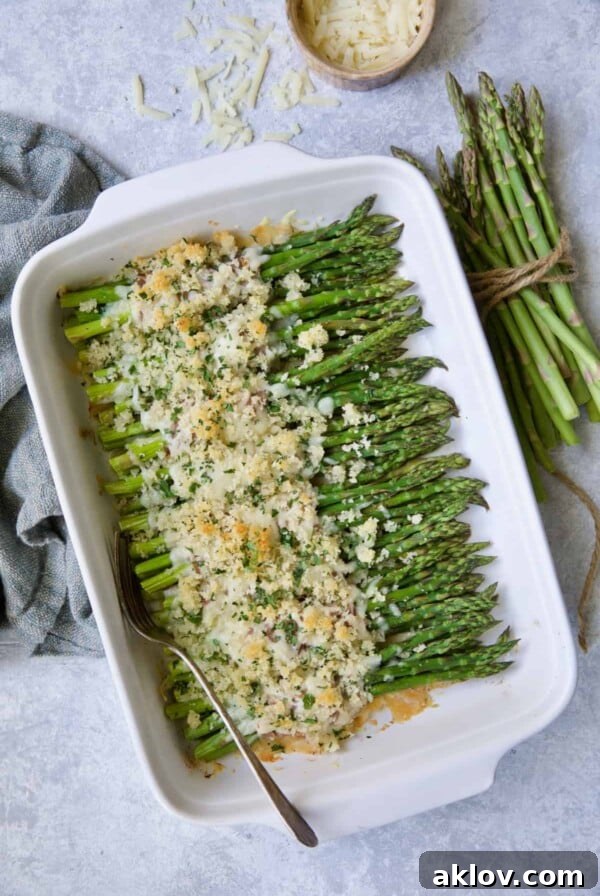 Photo of Asparagus Cordon Bleu in white rectangular baking dish on blue background.