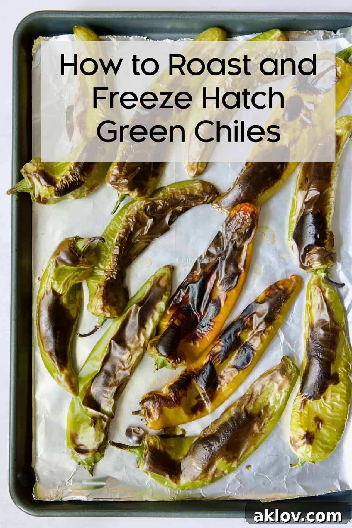 Hatch Green Chiles: Roast and Freeze for Year-Round Enjoyment 2 Hatch green chiles arranged on an aluminum-foil-lined sheet pan, ready for roasting.
