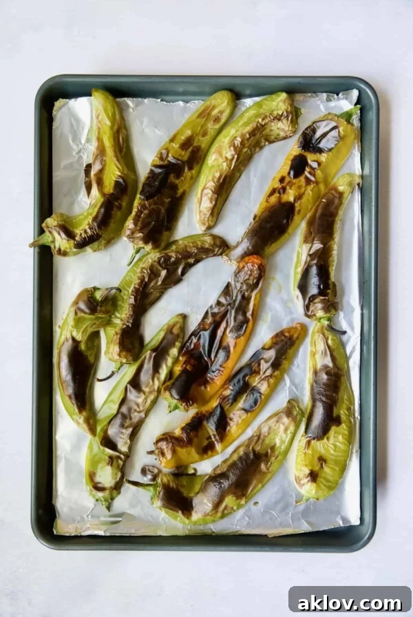 Fully roasted Hatch green chiles on rimmed sheet pan.