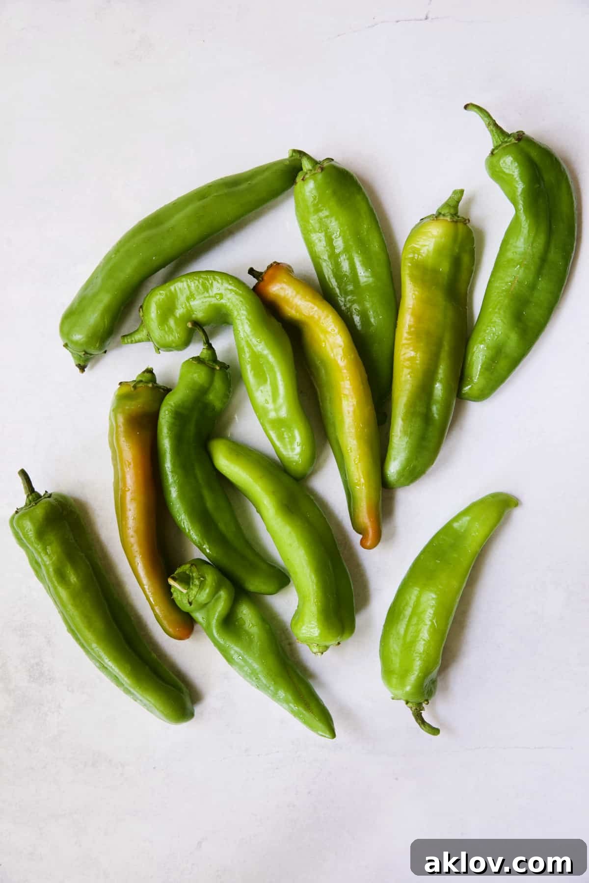 Hatch Green Chiles: Roast and Freeze for Year-Round Enjoyment 3 A selection of fresh, vibrant Hatch green chiles displayed on a clean white background.