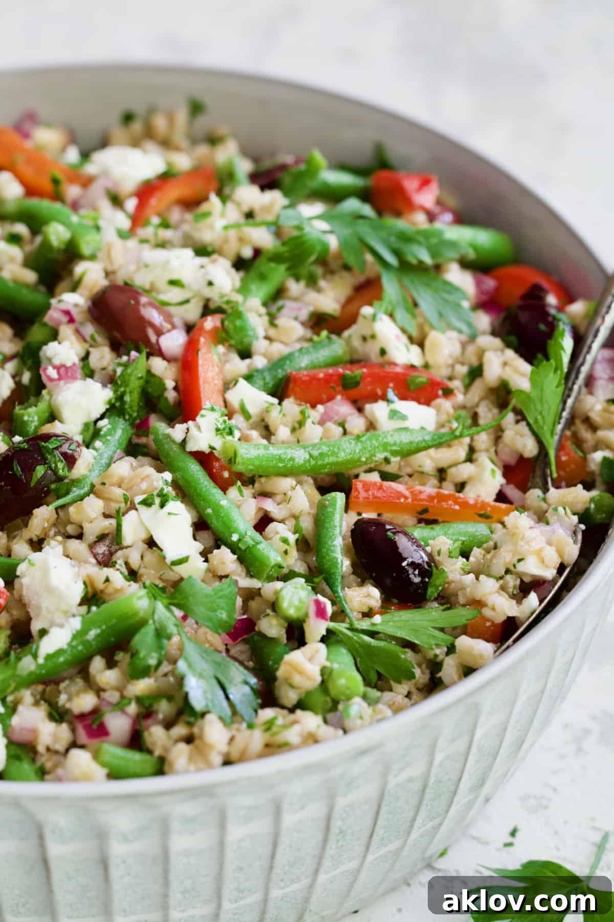 Mediterranean Barley Salad with Green Beans, Red Bell Pepper, Olives and Feta in serving bowl.