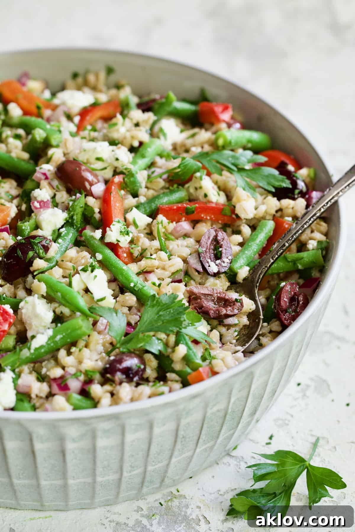 Mediterranean Barley Salad with Green Beans, Red Bell Pepper, Olives and Feta