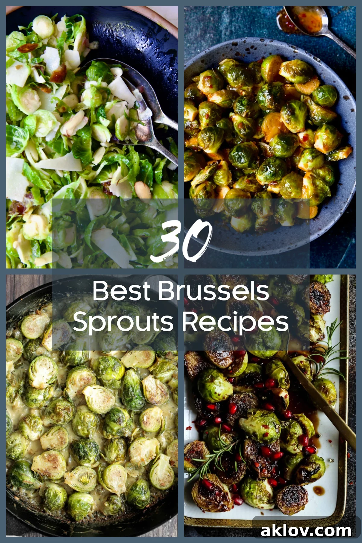 A vibrant collection of Brussels sprouts dishes, showcasing a variety of textures and preparations from crispy roasted to saucy glazed sprouts.