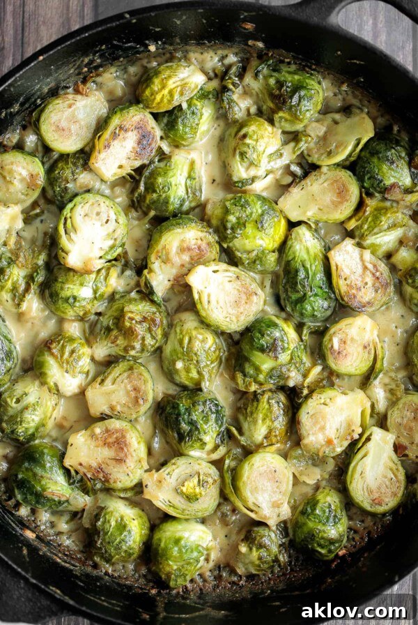 Creamy Brussels Sprouts Bake, showing a rich, cheesy casserole.