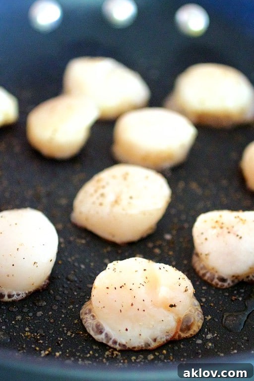 Pan-Seared Scallops with Vibrant Balsamic Tomato Salsa 11 Photo of sea scallops being seared in nonstick skillet.
