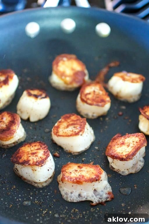 Pan-Seared Scallops with Vibrant Balsamic Tomato Salsa 12 Photo of nicely browned sea scallops in nonstick skillet.