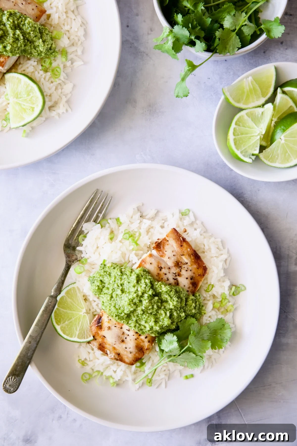 Grilled Mahi Mahi with vibrant Cilantro-Ginger Pesto, served over fluffy jasmine rice, garnished with a fresh lime wedge and aromatic cilantro sprigs on a pristine white plate.
