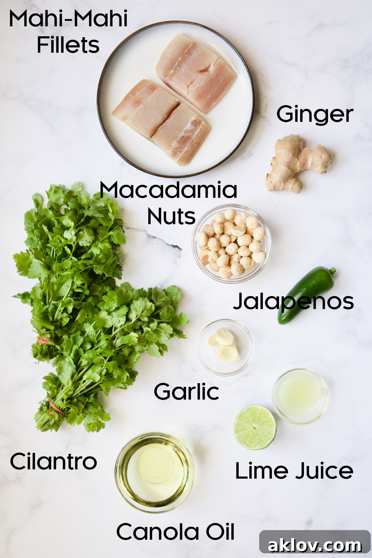 Arrangement of fresh ingredients including mahi mahi fillets, cilantro, ginger, limes, macadamia nuts, and a jalapeno pepper, ready for making Cilantro-Ginger Pesto.