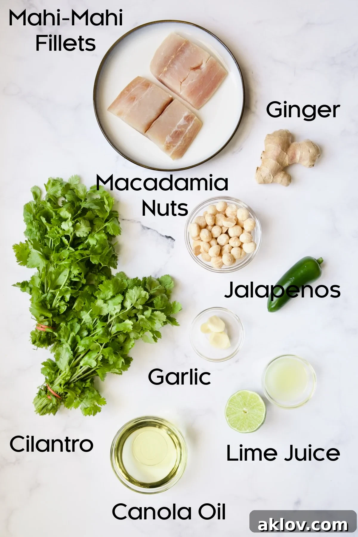 A vibrant flat lay showcasing all the fresh, high-quality ingredients required for preparing Mahi Mahi with Cilantro-Ginger Pesto, neatly arranged on a rustic wooden surface.