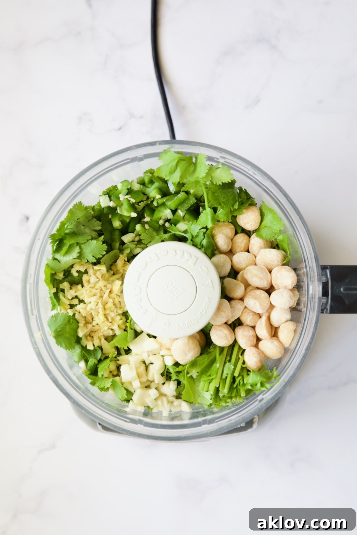 A food processor bowl filled with fresh cilantro, jalapeno, ginger, garlic, macadamia nuts, and oil, perfectly poised before blending into a vibrant pesto.