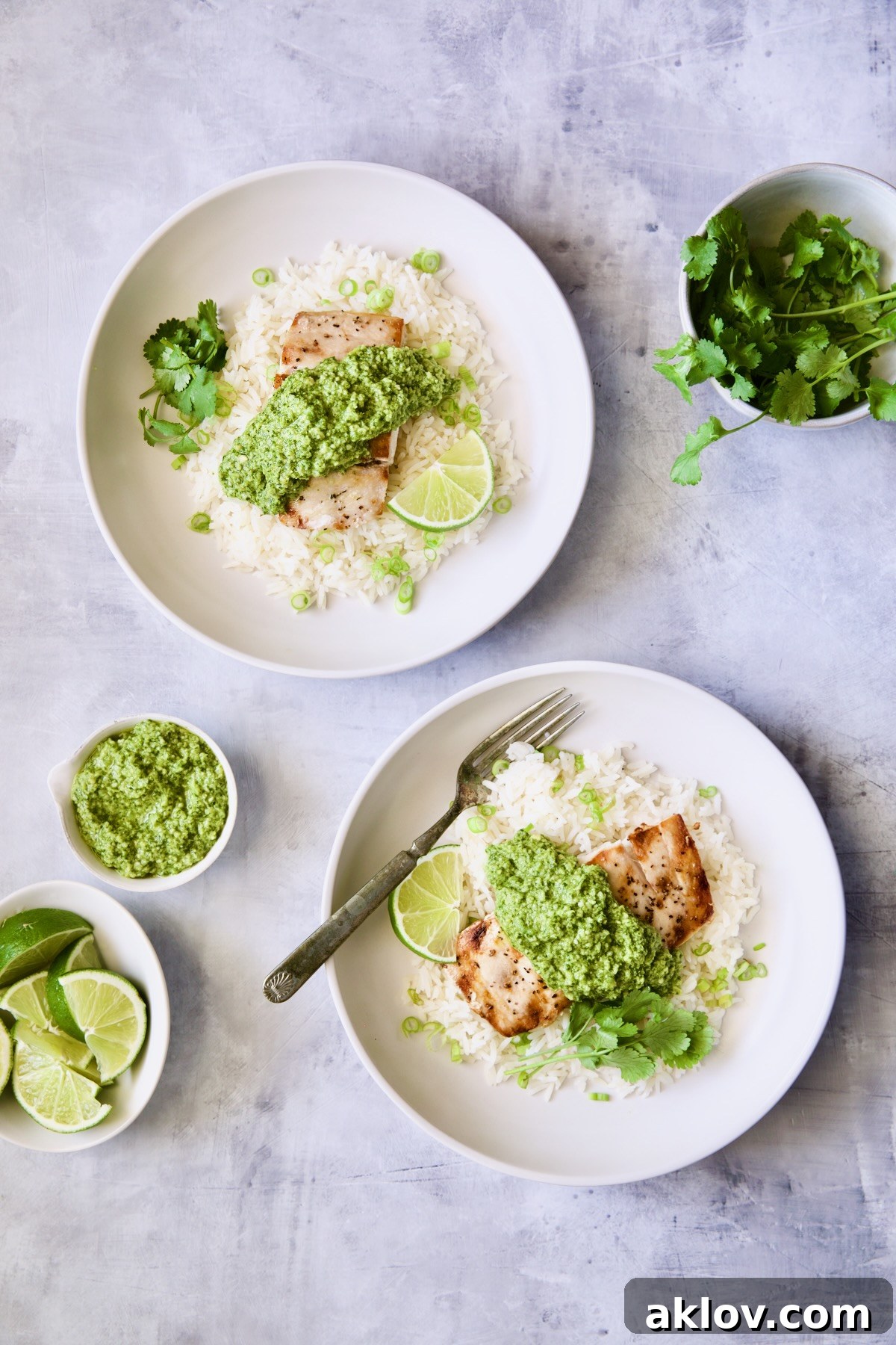Two plates featuring beautifully plated Grilled Mahi Mahi with Cilantro-Ginger Pesto served over jasmine rice, garnished with lime and fresh cilantro.