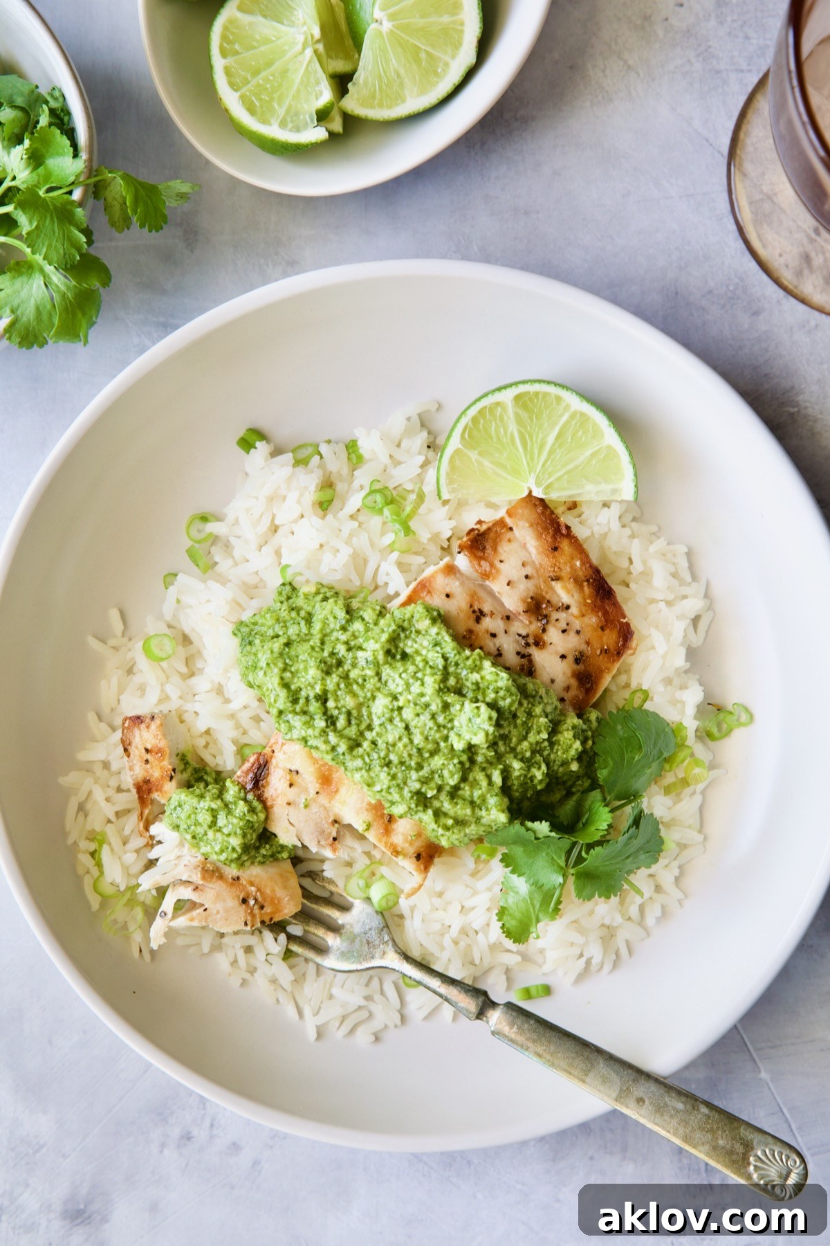 A single, elegant plate featuring perfectly grilled Mahi Mahi generously topped with vibrant Cilantro-Ginger Pesto, served alongside jasmine rice and a fresh lime wedge.
