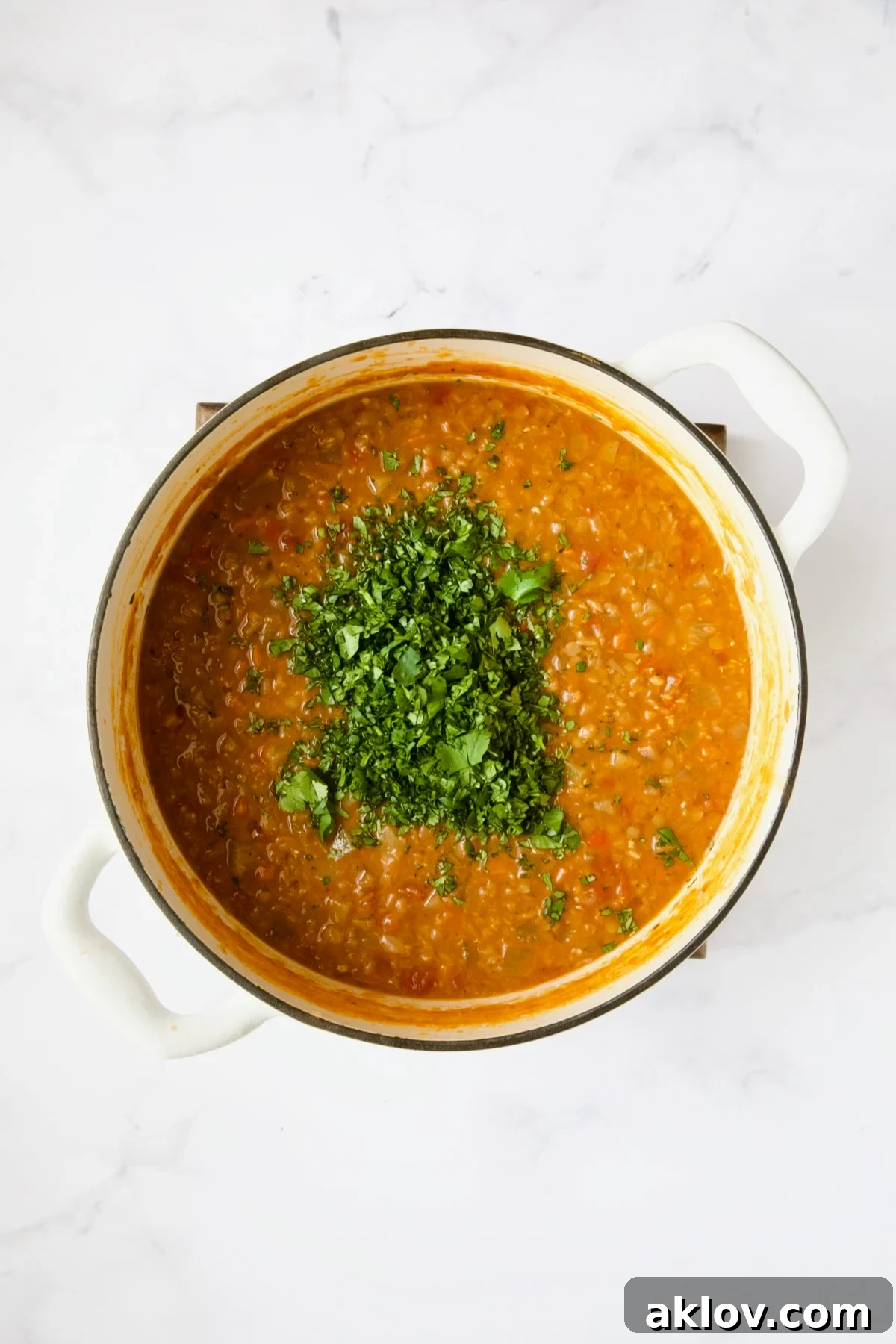 The finished Ethiopian Red Lentil and Vegetable Stew in a white Dutch oven, beautifully adorned with a generous sprinkle of fresh cilantro leaves over the top.