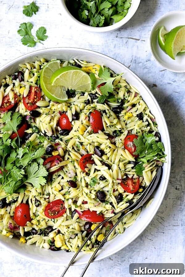 A colorful Southwestern Orzo Salad with Cilantro-Lime Dressing, capturing the vibrant essence of Mexican-inspired cuisine.