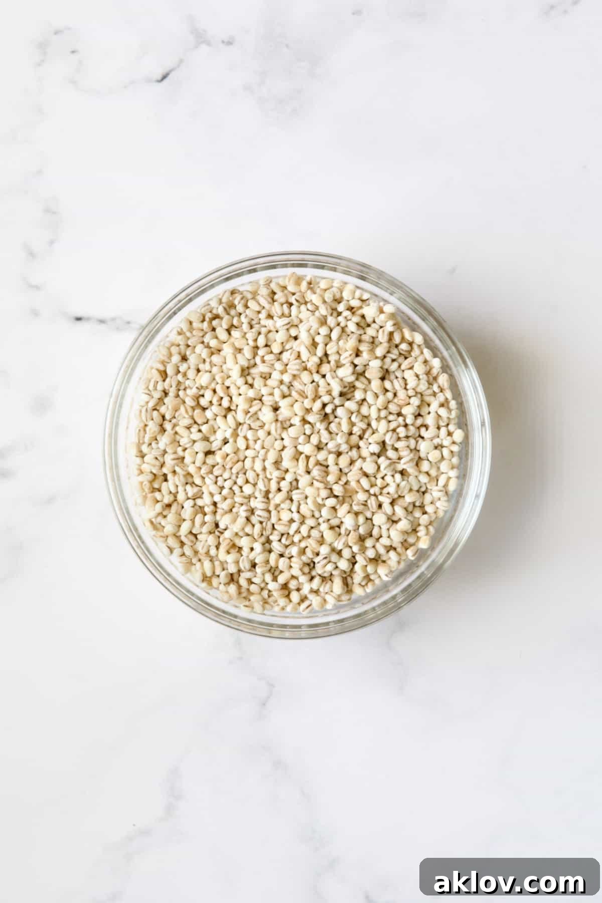 Bowl of uncooked pearl barley.