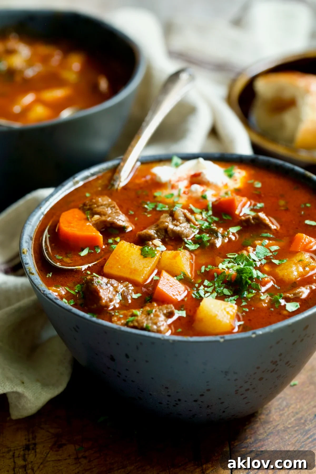 Traditional Hungarian Goulash Soup Recipe in gray bowl with a piece of carrot and beef soup spoon.