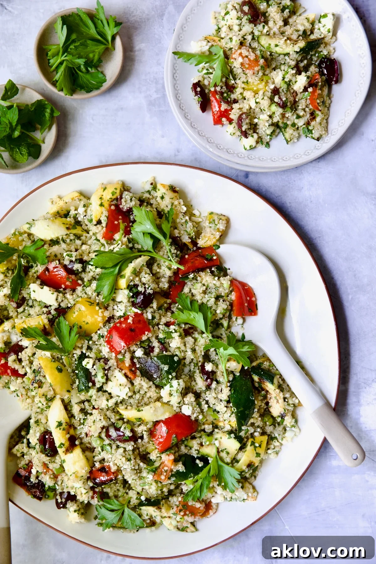 Beautifully presented Mediterranean Quinoa Salad with Grilled Vegetables on a large white platter, with a smaller portion elegantly served on a side plate, ready for dining.
