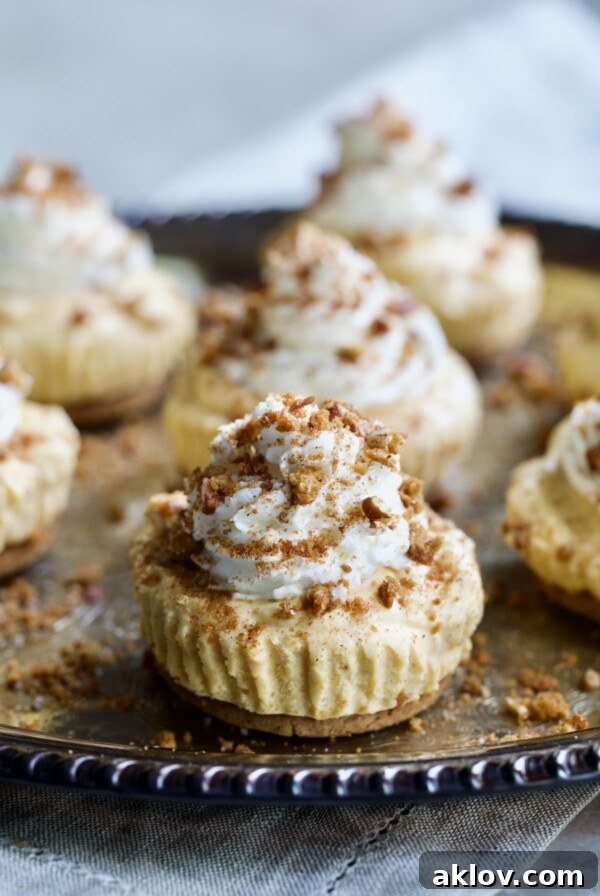 No-Bake Fall Pumpkin Cheesecake Bites 18 Easy Mini No-Bake Pumpkin Cheesecakes on antique silver platter, garnished.