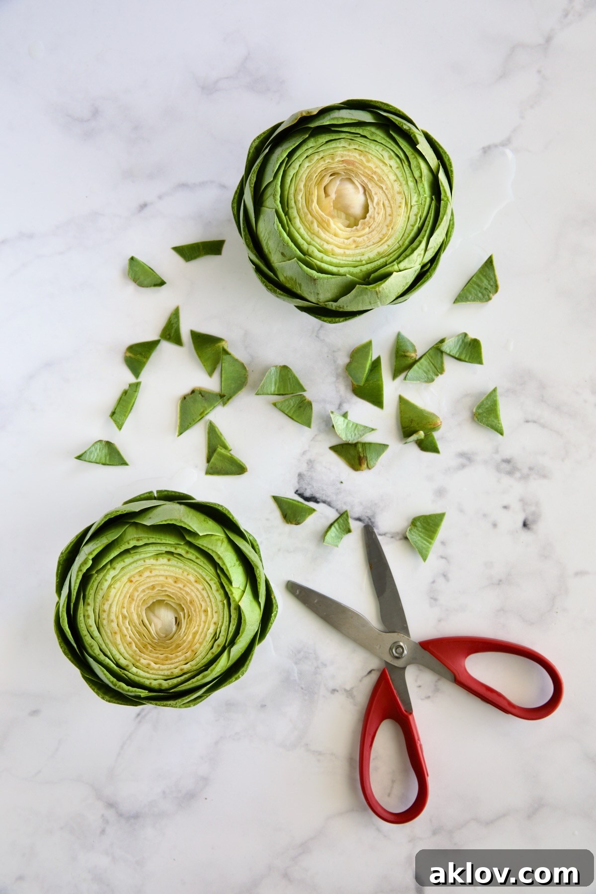 Two artichokes showing their leaf tips carefully trimmed with red-handled kitchen shears, resting on a marble surface.