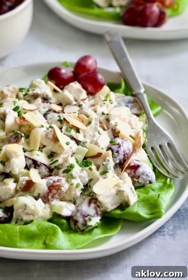 Chicken Salad with Herbs, Almonds and Grapes on lettuce on white plate, a flavorful and textured dish.