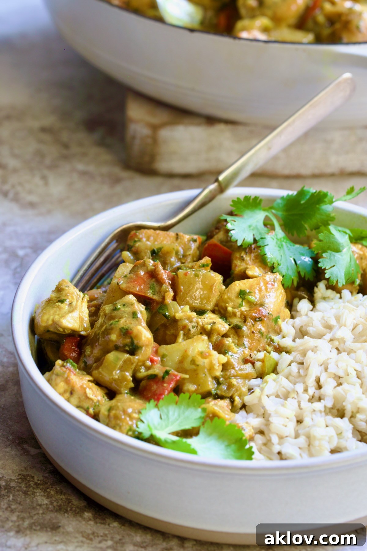 One serving of Chicken and Potato Curry in earthenware bowl with brown rice garnished with fresh cilantro.