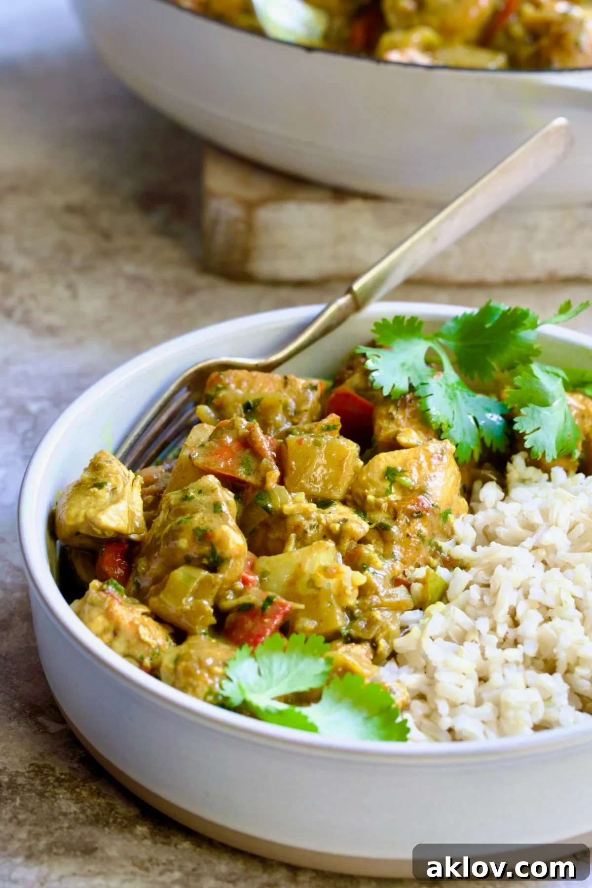 Comforting Chicken Potato Curry 17 A beautifully plated serving of Chicken and Potato Curry in an earthenware bowl, elegantly served with brown rice and garnished with fresh cilantro, ready to be savored.