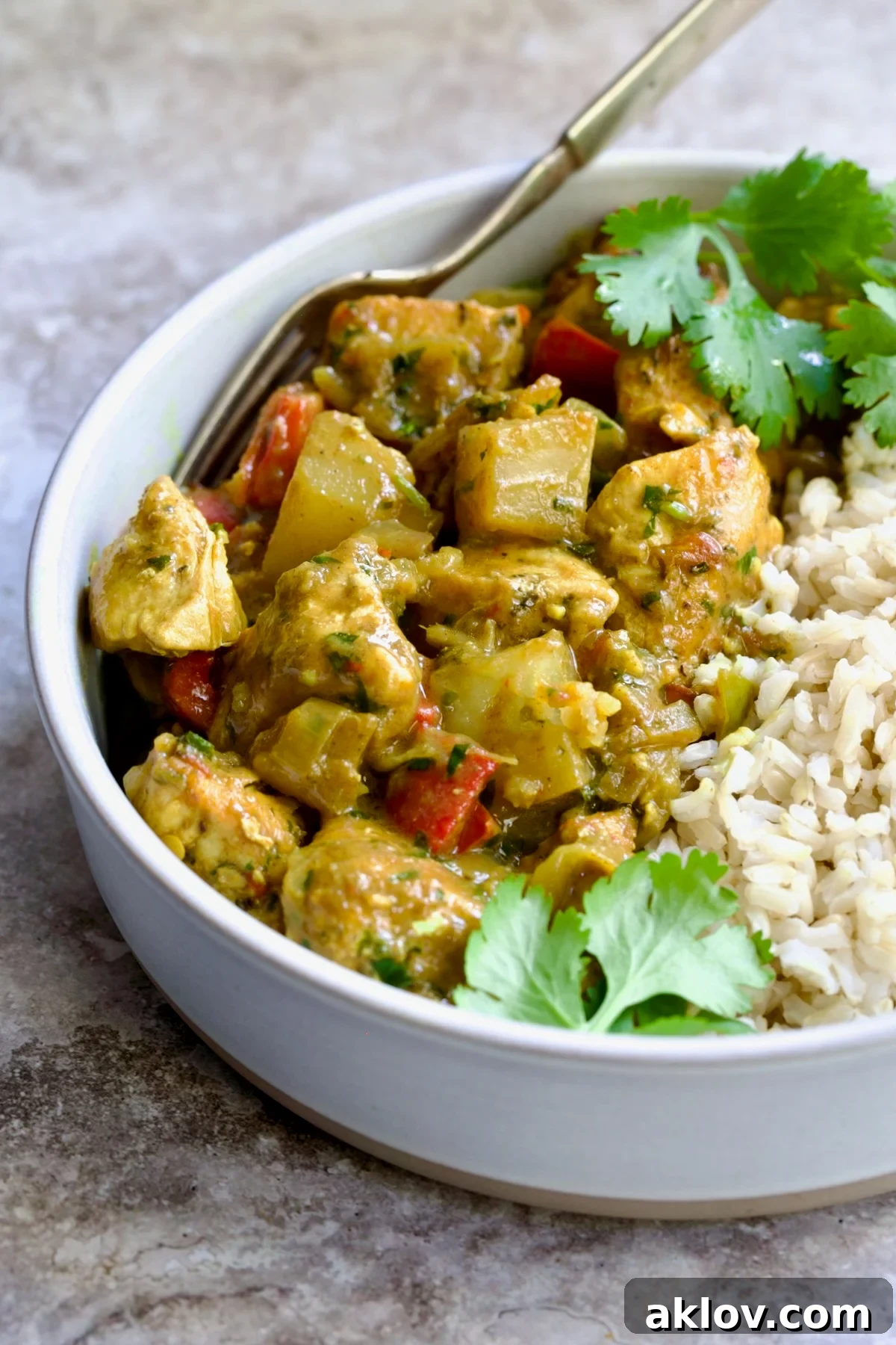 Comforting Chicken Potato Curry 3 A perfectly portioned serving of Chicken and Potato Curry in an earthenware bowl, accompanied by fluffy brown rice and garnished with fresh cilantro sprigs.