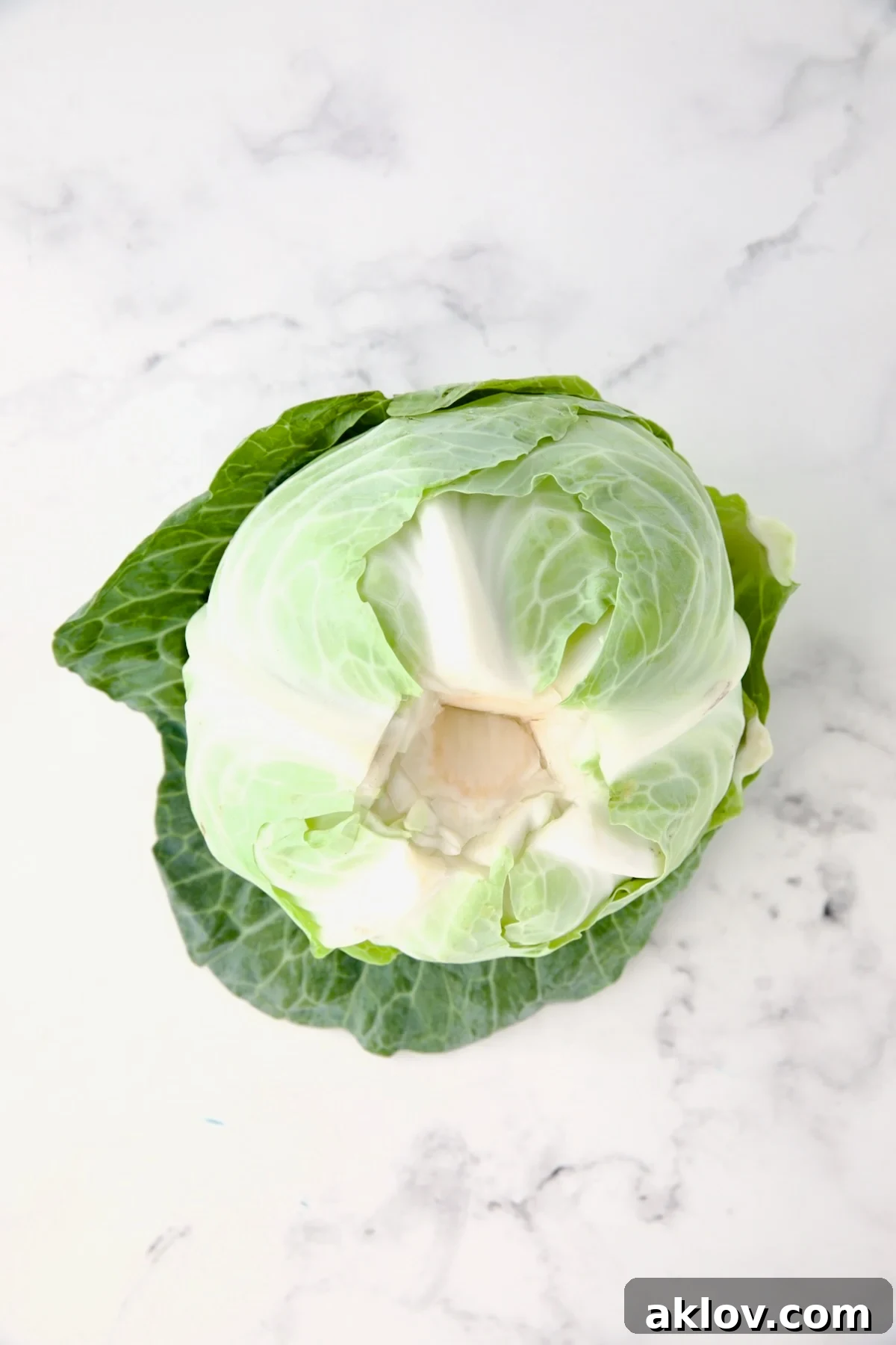 Uncooked head of cabbage with bottom core removed.