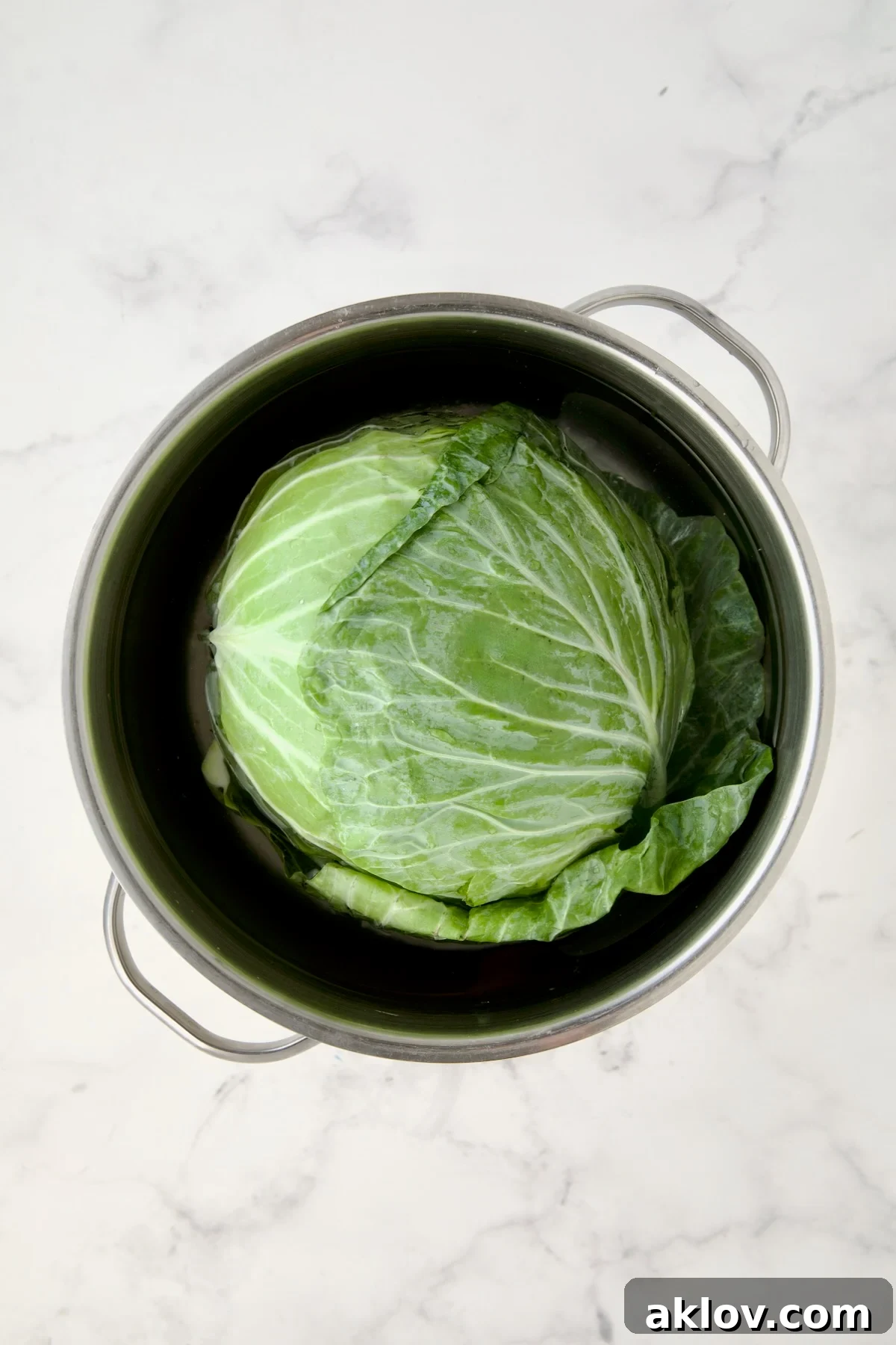 Head of cabbage in water in stainless steel pot.