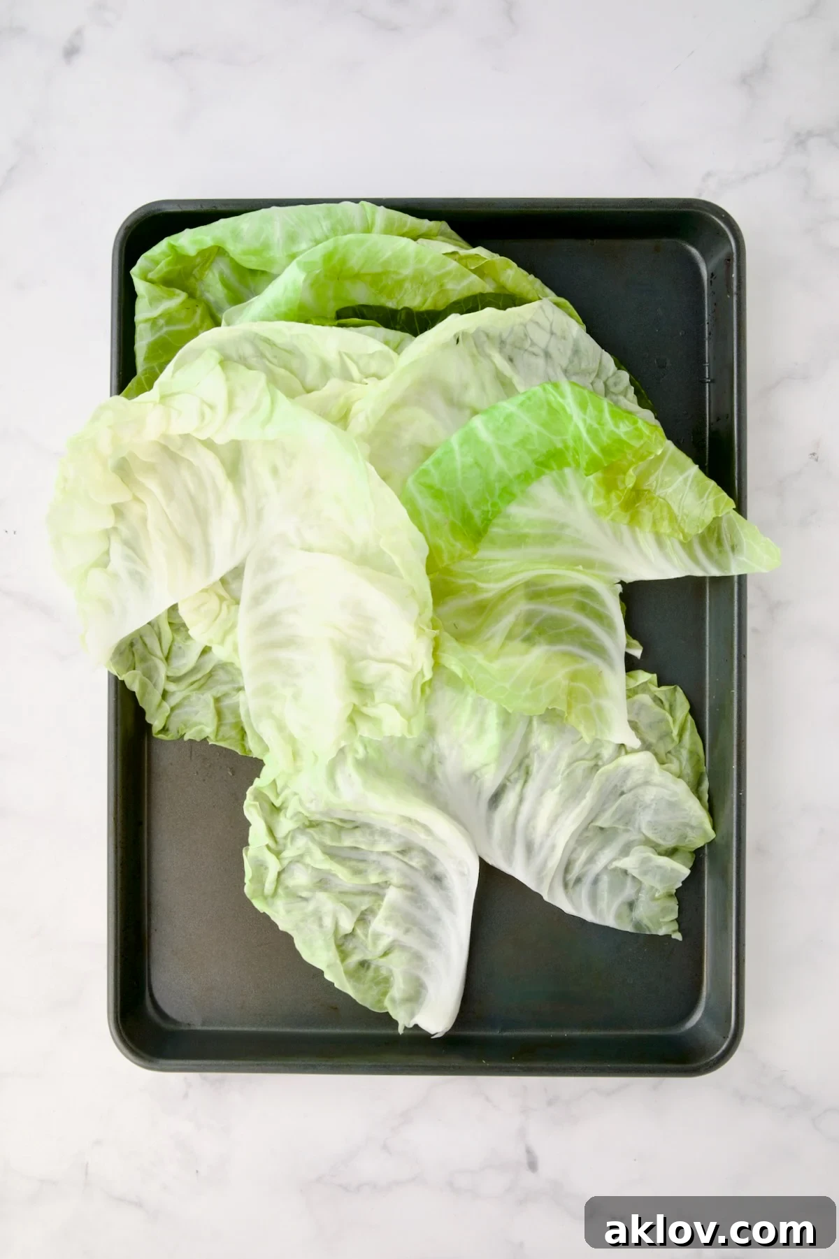 Leaves of cooked cabbage on rimmed baking sheet cut to remove the center ridge to create a V-shape.