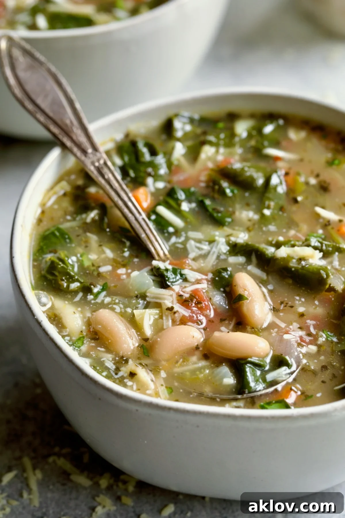 Vegetable Bean Soup in white bowl with spoon, ready to be enjoyed.