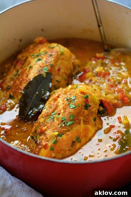 Close-up photo of Chicken Bouillabaisse in red Dutch oven with soup ladle.