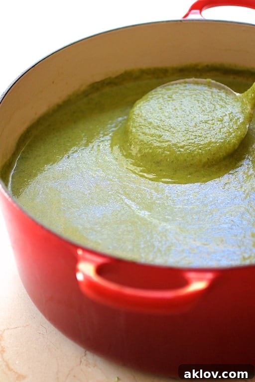 Rich green Cream of Green Vegetable Soup simmering in a vibrant red Dutch oven, with a ladle poised to serve, highlighting its comforting texture.