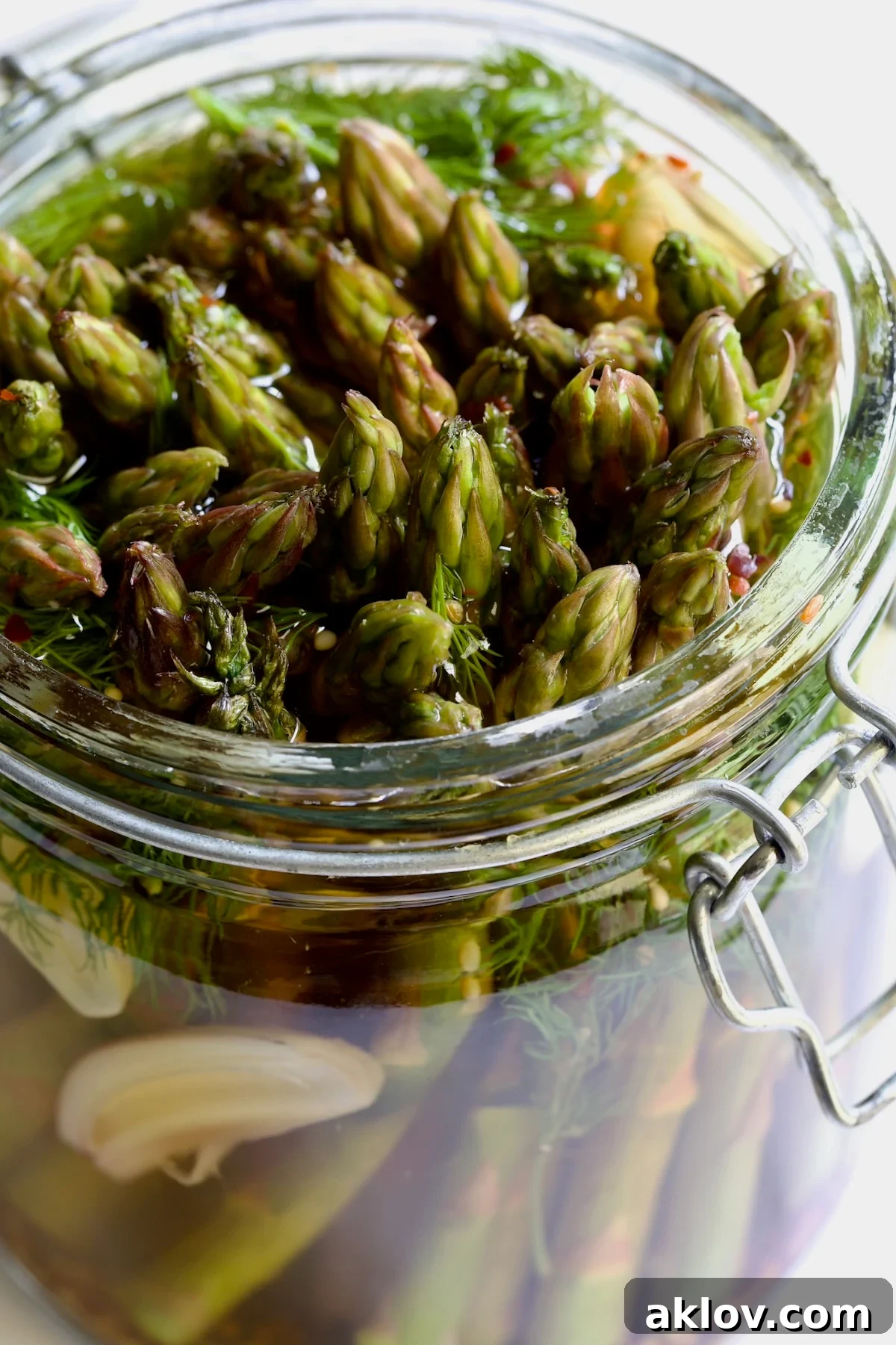 Zesty Pickled Asparagus 3 Fresh asparagus spears being carefully arranged vertically inside a clean glass jar, ready for the pickling process.