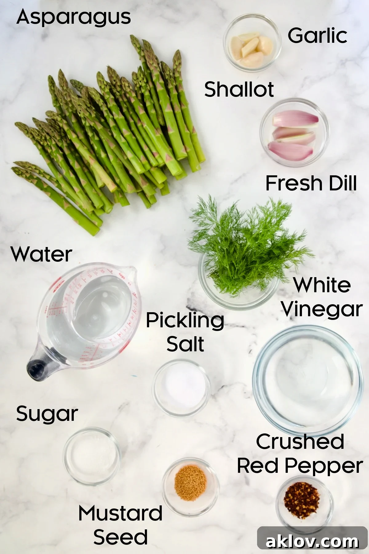 Zesty Pickled Asparagus 4 Various pickling ingredients, including fresh asparagus, sliced garlic, fresh dill sprigs, quartered shallots, and spices, attractively laid out in glass bowls.