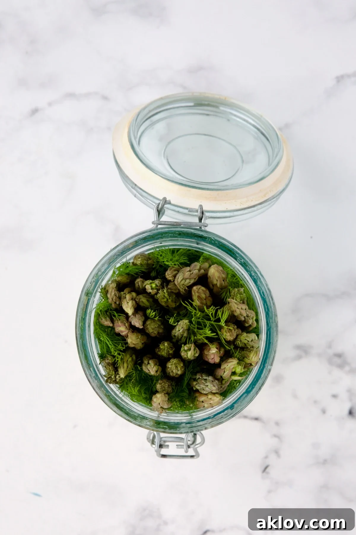 Zesty Pickled Asparagus 5 Fresh asparagus spears being carefully placed vertically into a clean glass jar, ready to be pickled.