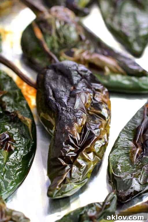 Fiesta Chicken Casserole 4 A detailed photo of roasted Poblano peppers, their skins charred and blistered, laid out on a baking sheet, showcasing the perfect readiness for peeling and adding to the casserole.