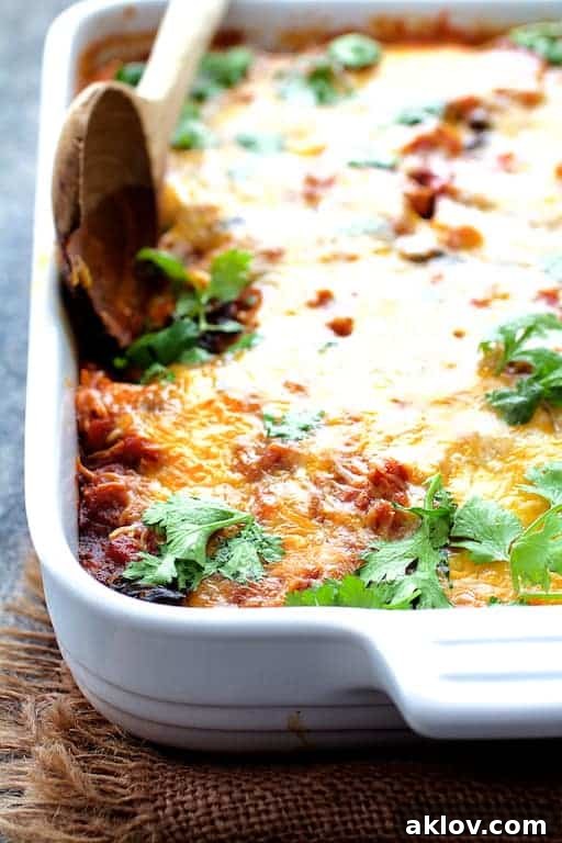 Fiesta Chicken Casserole 6 A stunning top-down view of the Mexican Chicken Poblano and Black Bean Tortilla Casserole in a white ceramic baking dish, freshly baked with bubbly, melted cheese and vibrant cilantro garnish, ready to be served.