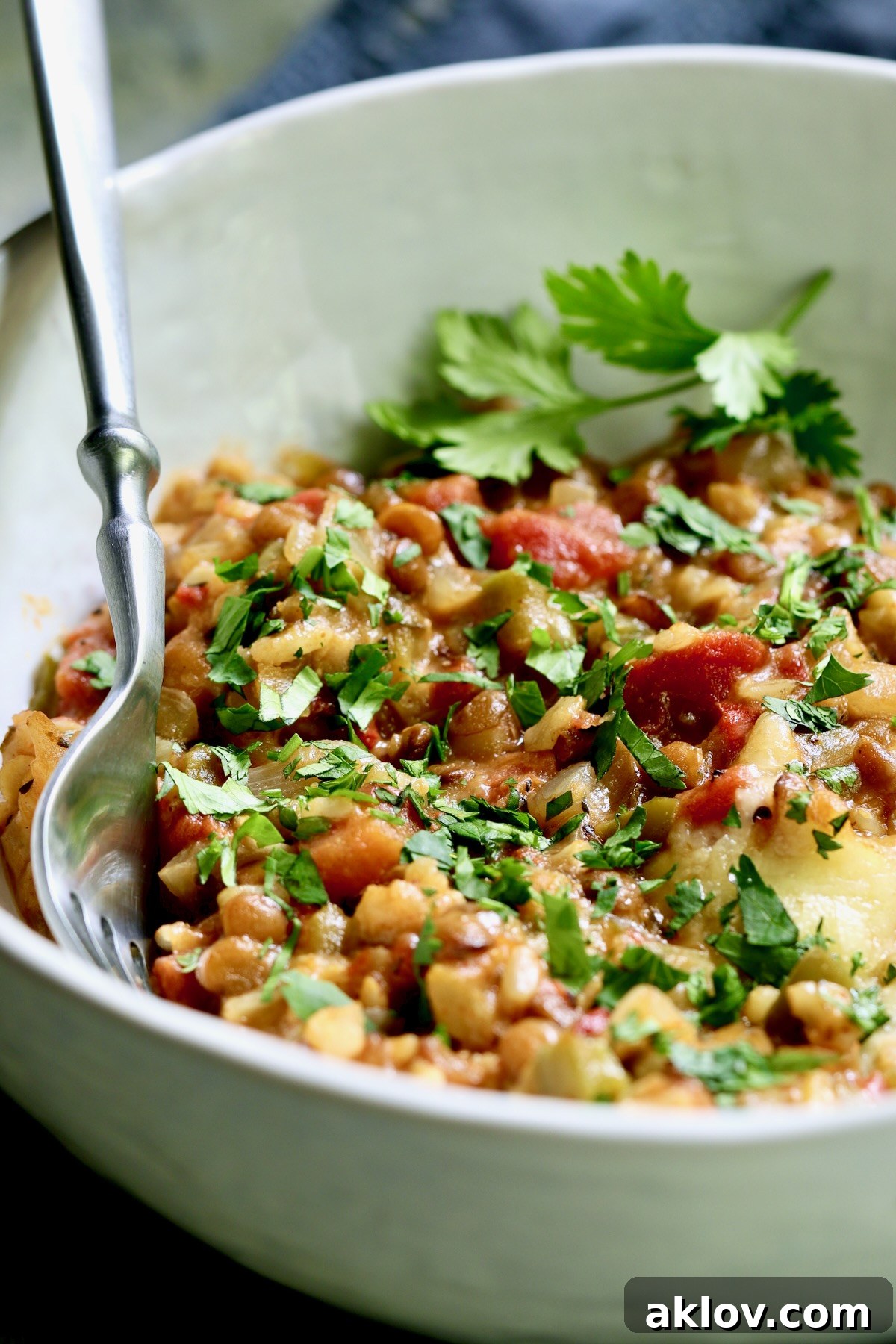 A single serving of Southwestern Lentil and Brown Rice Bake in a white bowl, elegantly garnished with fresh chopped cilantro, ready to be enjoyed.